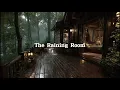 Best Rain in the Forest at Night 🌲 | Sleep Deeply with Rain Sounds