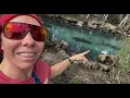 TONS of manatees and action at Low Tide in Crystal River