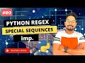 Regex Special Sequences and Character Classes - A Guide for Python Programming