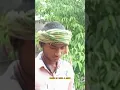 Download Lagu dahshat banana hai to Sher Jaisi Bano #tiger #videoviral #youtubeshorts #mohammedsohail7842 #short
