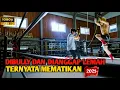 Download Lagu Dibully Dan Diremehkan Pria Ini Datang Untuk Balas Dendam, Alur Film Action 2025
