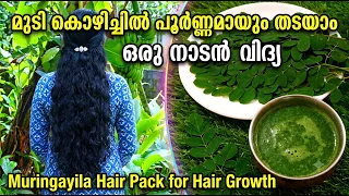 മുടി കൊഴിച്ചിൽ പൂർണ്ണമായും തടയാം ഒരു നാടൻ വിദ്യ Muringayila Hair Pack for Hair Growth