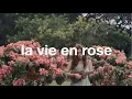 Download Lagu La Vie En Rose (ukulele cover) | Reneé Dominique