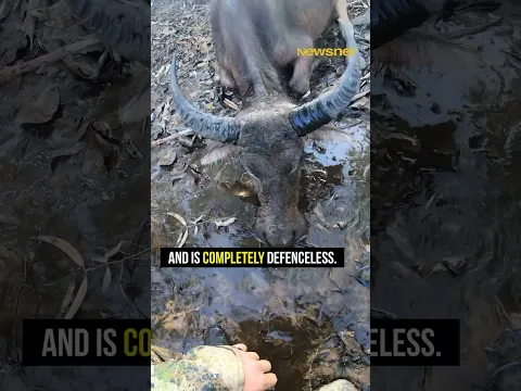 Hunter regrets dropping his weapons 😬