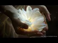 Download Lagu Música Reiki • Deshazte De Toda Mala Energía • Aumenta La Fuerza Mental • Reducir Estrés Y Ansiedad