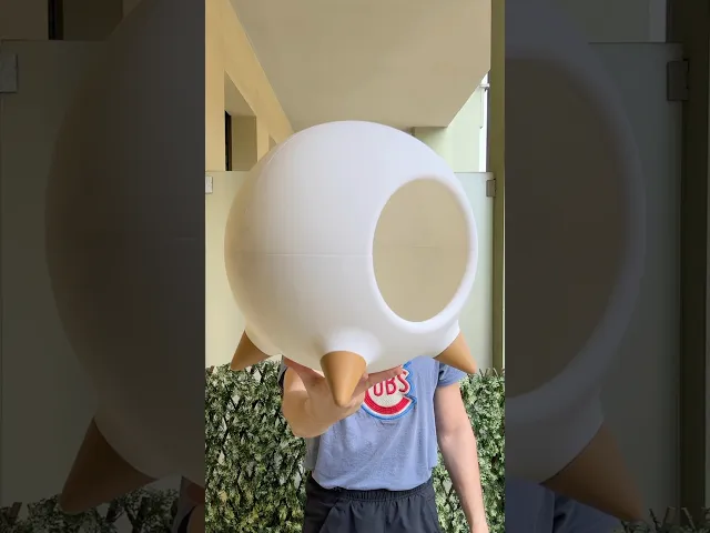 Tata, cat house. video thumbnail