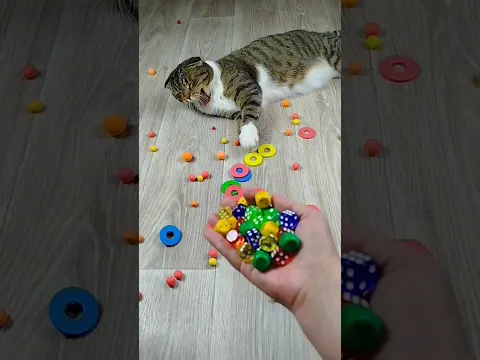 Cat Barsik 🔥 Cubes 🎲🟥 Reverse video #marblerunandmore #cat #reverse