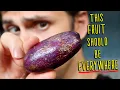 Download Lagu AFRICAN BUTTER PEAR - This Fruit is like Avocado but BETTER (Safou Fruit)