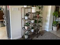 Telfun Plant Stand Amazon Review l