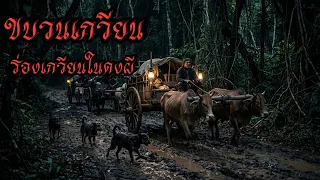 ขบวนเกวียนสมัยก่อน ร่องเกวียนในดงผี ตอนที่หนื่ง #เล่าเรื่อง #horror #เล่าเรื่องผี 