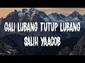 Download Lagu Salih Yaakob - Gali Lubang Tutup Lubang (Lirik Lagu)
