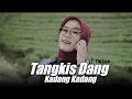 Download Lagu Malam Ini Tangkis Dang x Kadang Kadang ( DJ Topeng Remix )