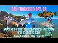 GIANT STRIPER FISHING in the SAN FRANCISCO BAY INSANE ACTION