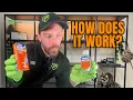 Get Rid of Ants Fast With Terro Liquid Ant Bait