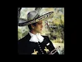 Alejandro Fernández - Llorando Penas (Cover Audio)