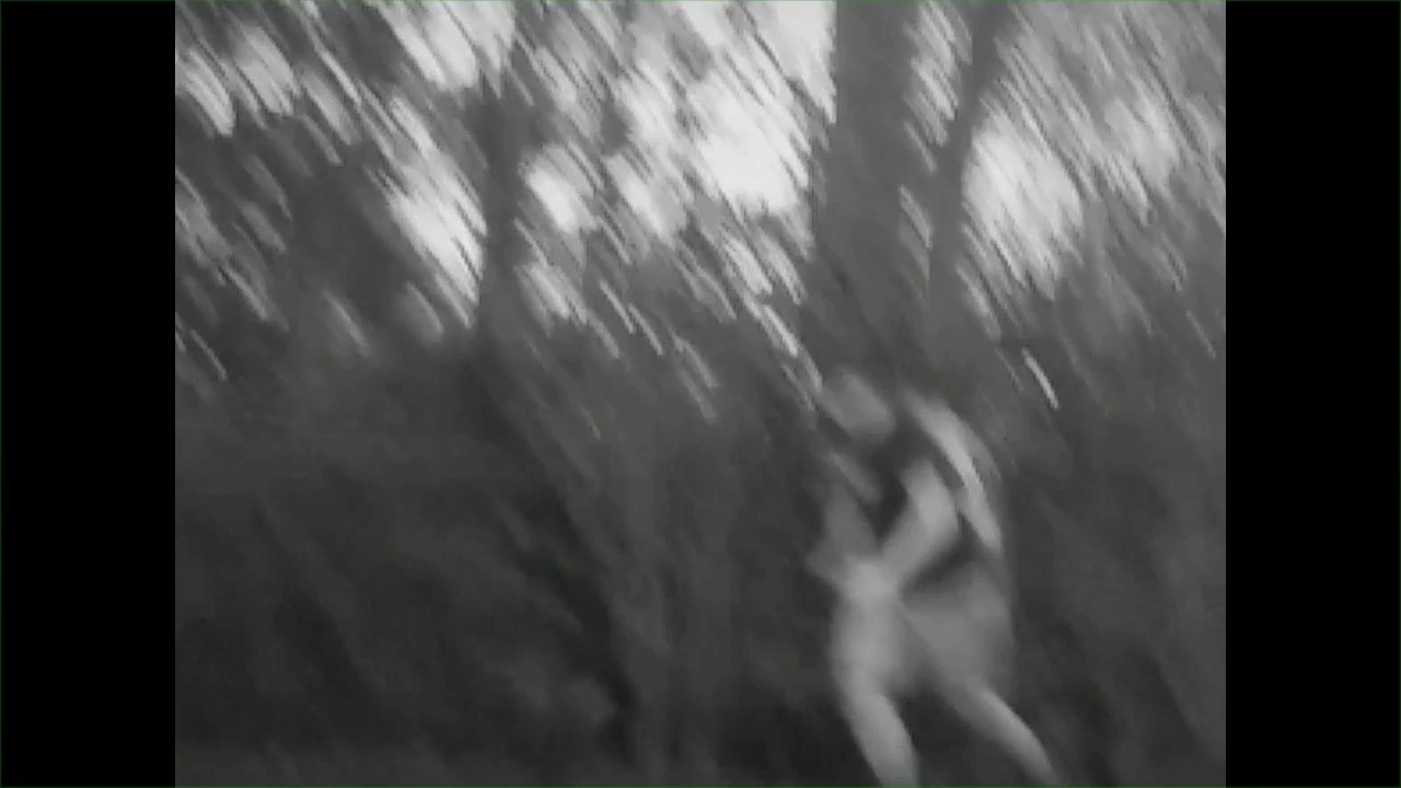 Unfunny 'Wasted meme'