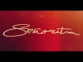 Shawn Mendes -  Señorita (Official Solo Version)