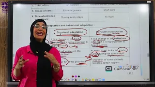 مراجعة ساينس الصف الرابع لشهر أكتوبر بطريقة سهلة وممتعة هتفهم كل حاجة في وقت قصير 