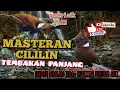 Download Lagu MASTERAN CILILIN LAGU LELAH || DIJAMIN CEPAT MASUK