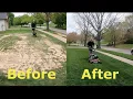 Step by Step Guide to OVERSEEDING Better looking lawn FAST