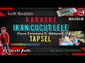 Download Lagu TAPSEL - IKAN CUCUT LELE KARAOKE | FARRO S. \u0026 MAHARANI | Program KN7000 | Dj Sarvin Audio