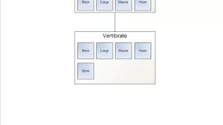 Inheritance and Interfaces in the NET Framework Visual Basic NET and C