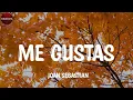Joan Sebastian - Me Gustas (Letra/Lyrics)