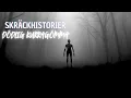 Download Lagu SKRÄCKHISTORIER KURRAGÖMMA OCH STALKERS