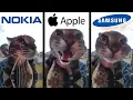 Download Lagu Cat Meows into door camera meme but famous phone ringtones