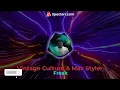 Vintage Culture & Max Styler - Freak
