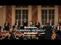 PURNAMA MERINDU - VERSI ORKESTRA 2025 | Siti Nurhalizah - Cover by @NDS_MusicOfficial