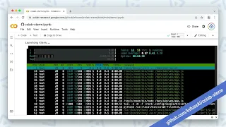 Run a full TTY Terminal in Google Colab s free tier