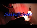 Download Lagu Sunflower ギター弾いてみた Orangestar feat.夏背 ギター弾いてみた guitar cover