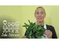 Download Lagu Gulai Daun Singkong - Cassava Leaves