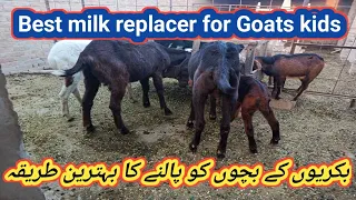 632 Best milk replacer for Goats k bachon ki behtreen tayari ka formula