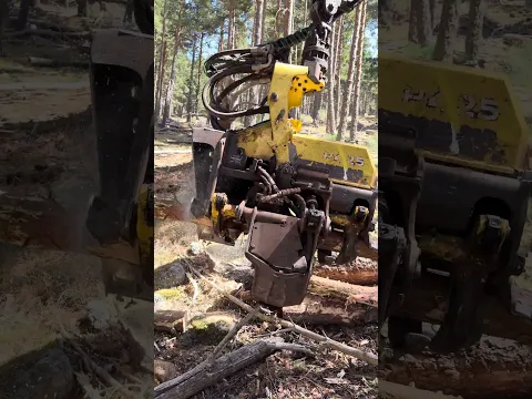 John deere 1270g+h425 | power & precision in action #johndeere #forest #harvester #forestry #tree