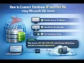 How to Connect database IP and Port No using Microsoft SQL Server