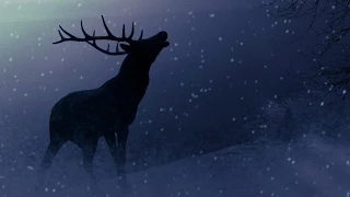 At Rest Kevin MacLeod 2 Hours Download Link 