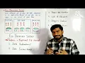 File Processing System Disadvantage or Problems in File Processing System ICS Part 2 Chapter 1