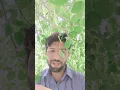 Download Lagu Dil ne yeh kaha hai Dil se