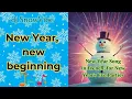 New Year, a fresh start. Étoile and dj SnowVibe and OlegAi dj.#music #happynewyear #xmas