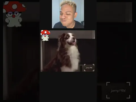 Kevin SooExtra! Try Not To Laugh Challenges #funny 💯🤣 Funny TikTok Kevin SooExtra! REACTIONS