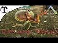 Fast Dung Beetle Taming Guide ARK Survival Evolved Tips and Tricks