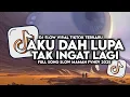 Download Lagu DJ AKU DAH LUPA TAK INGAT LAGI VIRAL TIKTOK SLOW FULL SONG MAMAN FVNDY 2025