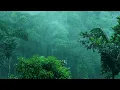 Download Lagu Best Rain Sounds For Insomnia, Sleeping Within 10 Minutes Of Rain White Noise Lullaby ASMR