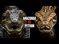 What Is The Difference Between an Anaconda and a Python