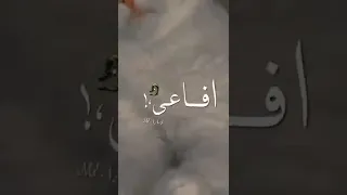 صحبي خلي بالك الطريق مليان افاعي    دندنها