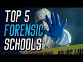 The Best Forensic Science College Undergraduate Programs in 2024