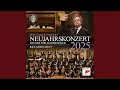 Download Lagu Wein, Weib und Gesang, Walzer, Op. 333