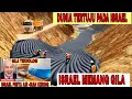 Lagu Israel Menuangkan Satu Miliar Ton Air ke Gurun. Beberapa Tahun Kemudian, Hasilnya Sungguh Luar Biasa